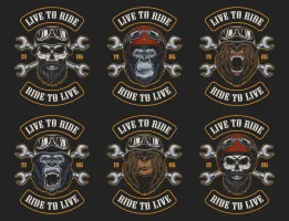 O Mundo dos Motoclubes