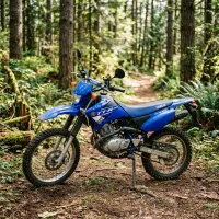 Foto da moto Yamaha TT 125 modelo Trail — Ficha técnica e especificações completas