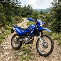 Foto da moto Yamaha XTZ 125 modelo Trail — Ficha técnica e especificações completas