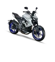 Foto da moto Zontes R 350 modelo Naked — Ficha técnica e especificações completas