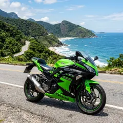 Ninja 300
