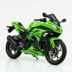 Ninja 300