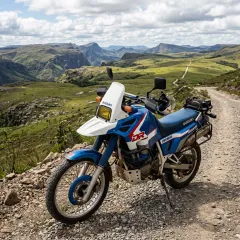 DR 800