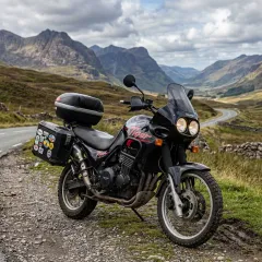Tiger 900