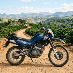 XT 600