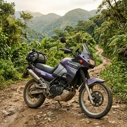 Kawasaki KLE 500