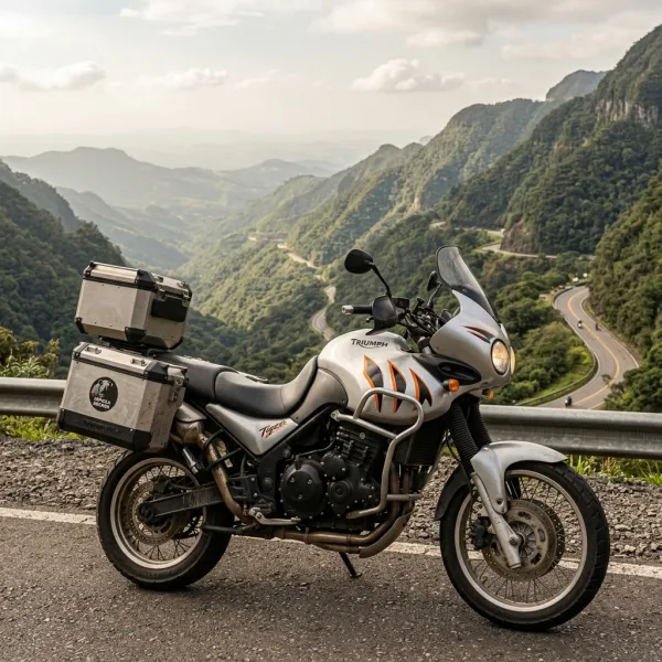 Foto da moto Triumph Tiger 955i modelo Adventure — Ficha técnica e especificações completas