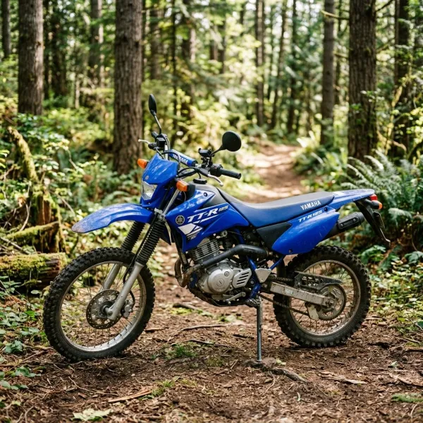 Foto da moto Yamaha TT 125 modelo Trail — Ficha técnica e especificações completas