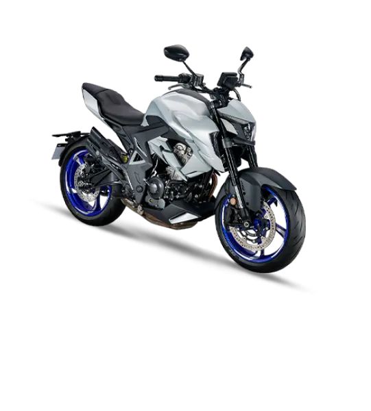 Foto da moto Zontes R 350 modelo Naked — Ficha técnica e especificações completas